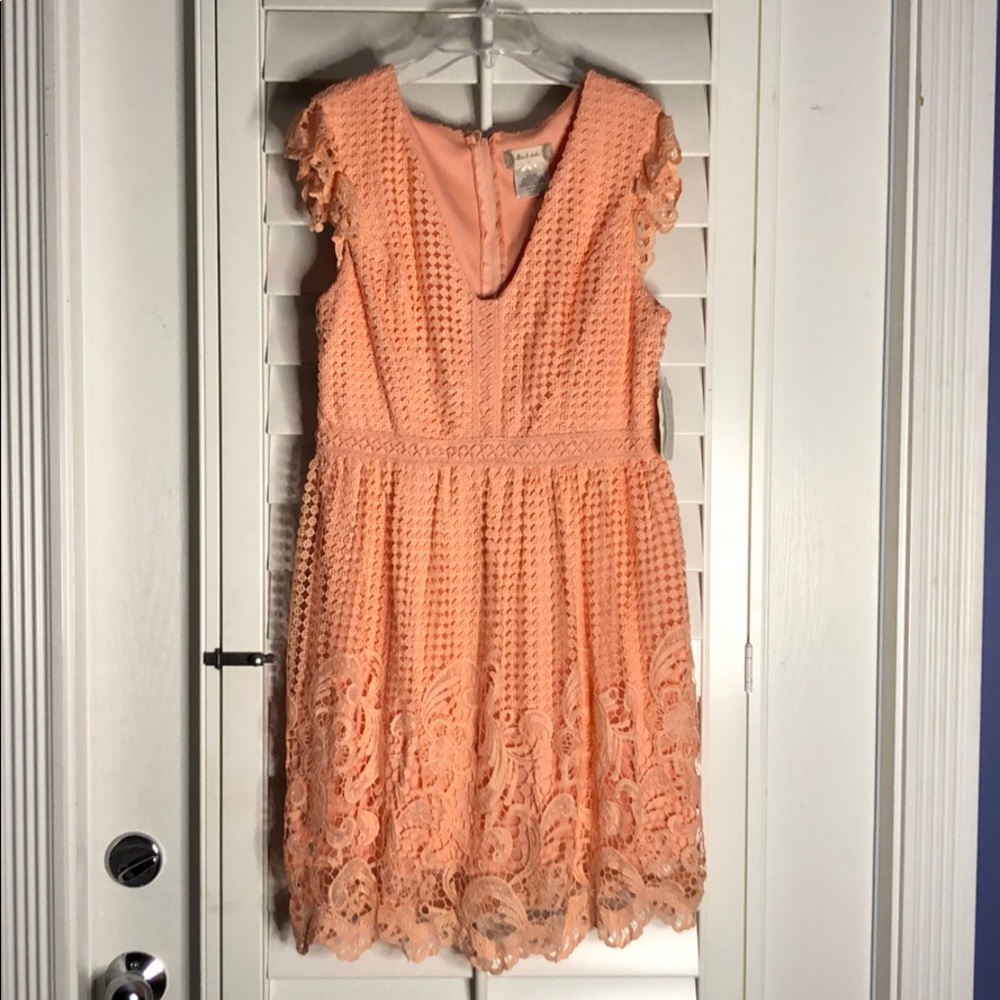 Alterd State Peach Lace Dress